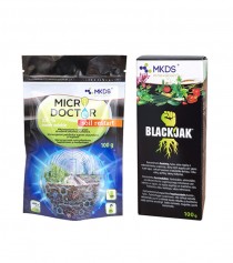 Rinkinys SĖKMINGO DERLIAUS STARTUI